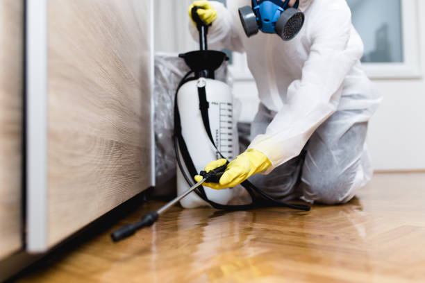 Best Flea Control Services  in Bay Hill, FL