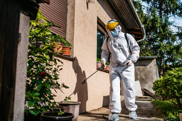 Best Best Pest Control Companies  in Bay Hill, FL
