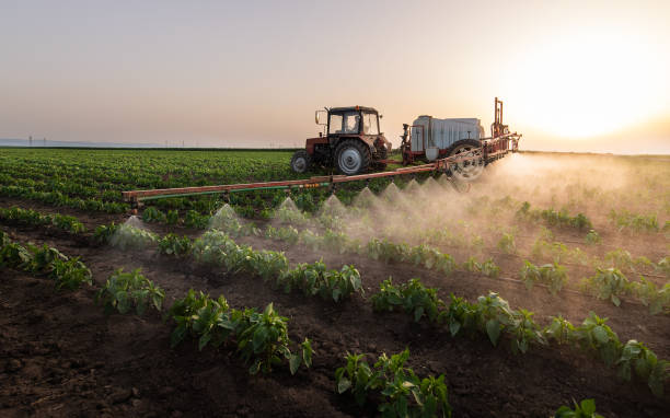 Best Mosquito Control Services  in Bay Hill, FL