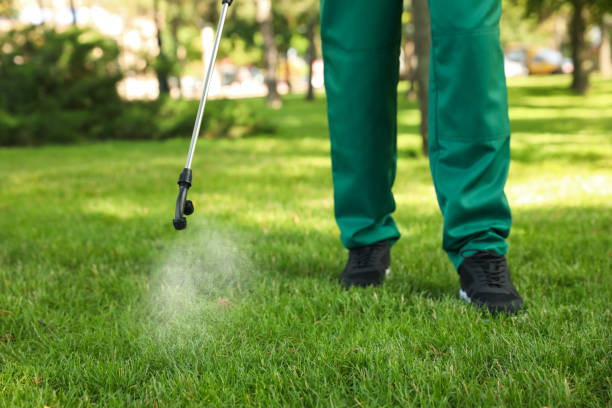Best Pest Prevention Services  in Bay Hill, FL