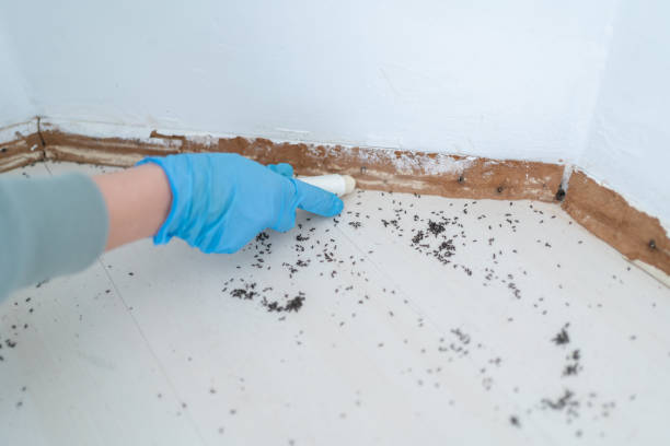 Best Commercial Pest Control Services  in Bay Hill, FL